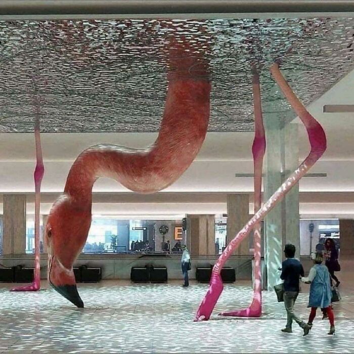 absolute units - megalophobia - flamingo art work airport