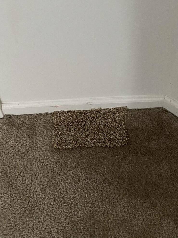 worst landlords - new home carpet