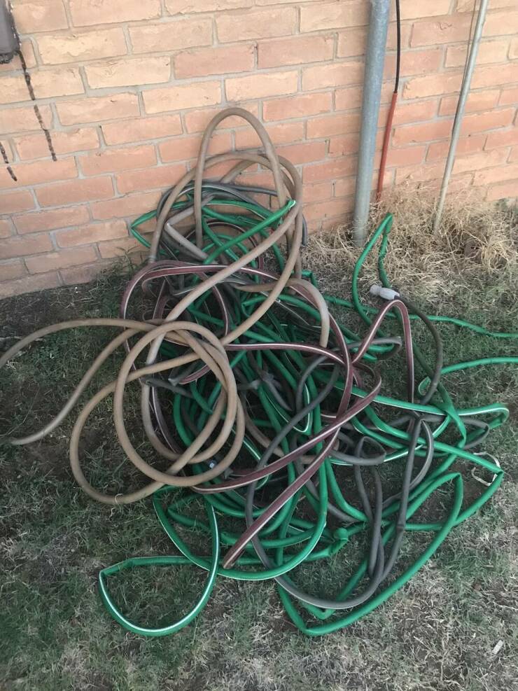 "Moved into a new house. Landlord said water the lawn, we left you a hose."
