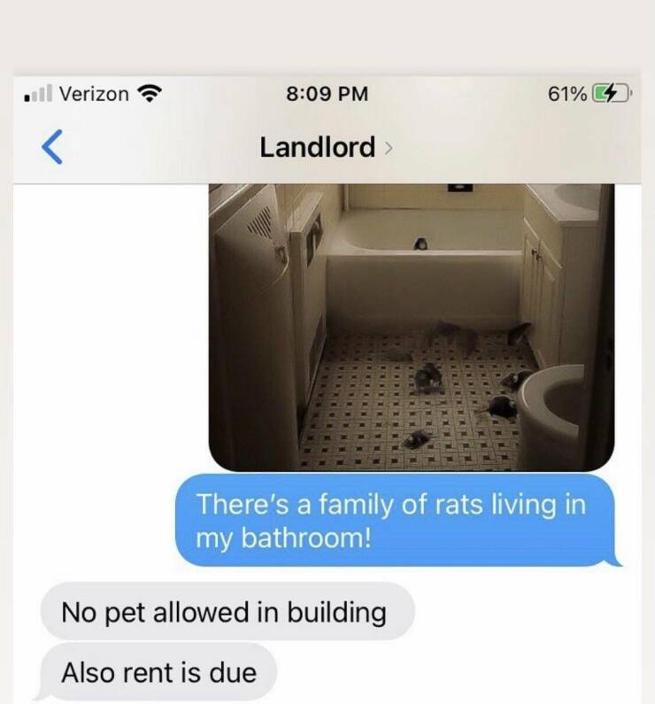worst landlords - there's a family of rats living in my bathroom - .ll Verizon  There's a family of rats living in my bathroom! No pet allowed in building Also rent is due