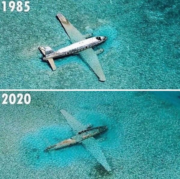 “Curtiss C-46 Commando, One Of Pablo Escobar / Carlos Lehder’s Drug Smuggling Planes Near Norman’s Cay In The Bahamas, After 35 Years Submerged In Saltwater”