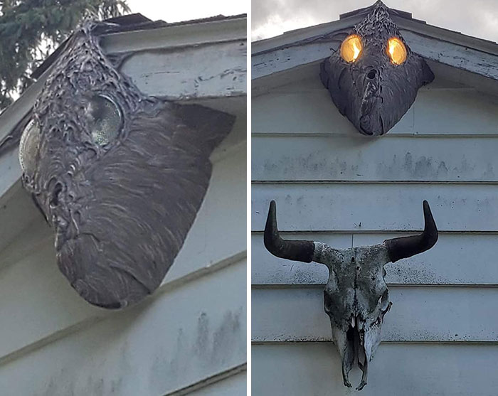 cursed pics - scary photos - wasp nest around flood lights
