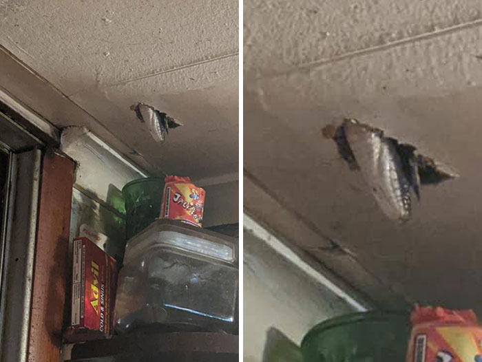 cursed pics - scary photos - ceiling