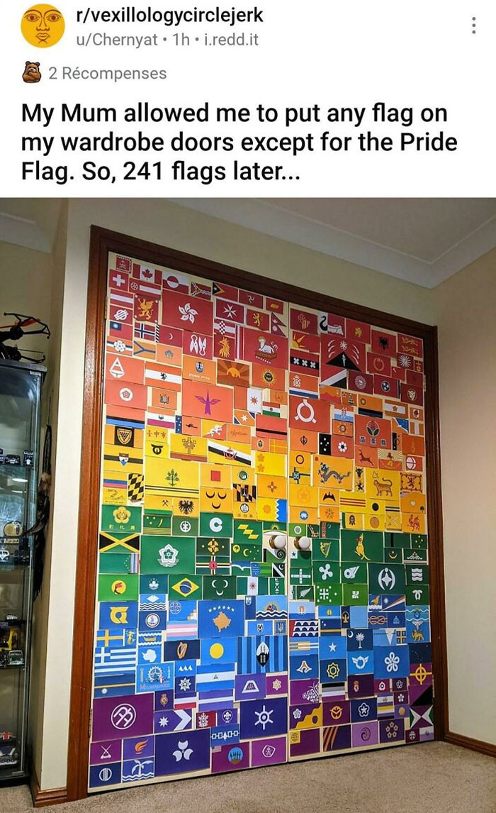 Power Moves - My Mum allowed me to put any flag on my wardrobe doors except for the Pride Flag. So, 241 flags later... 2