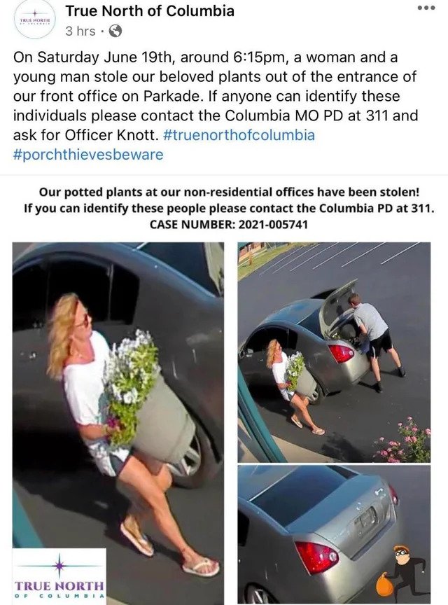 Trashy People - On Saturday June 19th, around pm, a woman and a young man stole our beloved plants out of the entrance of our front office on Parkade. If anyone can identify these individuals please contact th