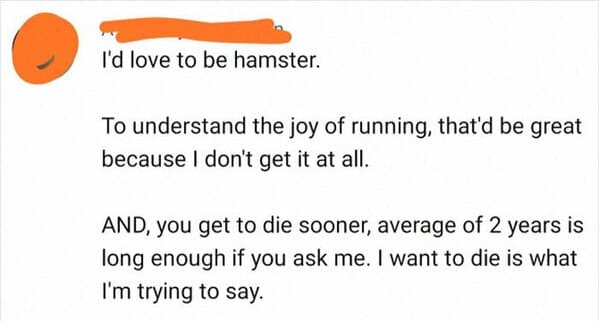 things that escalated quickly - diagram - I'd love to be hamster. . To understand the joy of running, that'd be great because I don't get it at all. And, you get to die sooner, average of 2 years is long enough if you ask me. I want to die is what I'm try