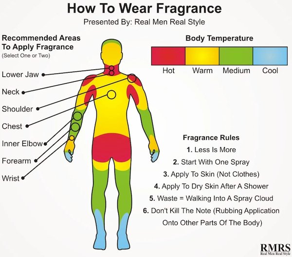 Charts and Graphs - spray perfume to last longer - How To Wear Fragrance Presented By