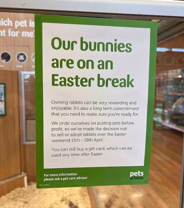 oddities - cool stuff - signage - sich pet is mt for me Our bunnies are on an Easter break Owning rabbits can be very rewarding and enjoyable. It's also a long term commitment that you need to make sure you're ready for We pride ourselves on putting pets 