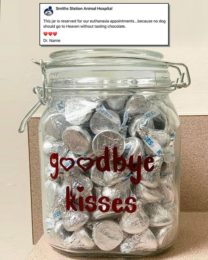 feel good photos - dog goodbye kisses - Smiths Station Animal Hospital This jar is reserved for our euthanasia appointments...because no dog should go to Heaven without tasting chocolate. Dr. Namie 2213 Sses Eses goodbye kisses 12294