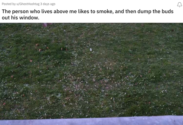 grass - A Posted by uGhostHashtag 3 days ago The person who lives above me to smoke, and then dump the buds out his window.