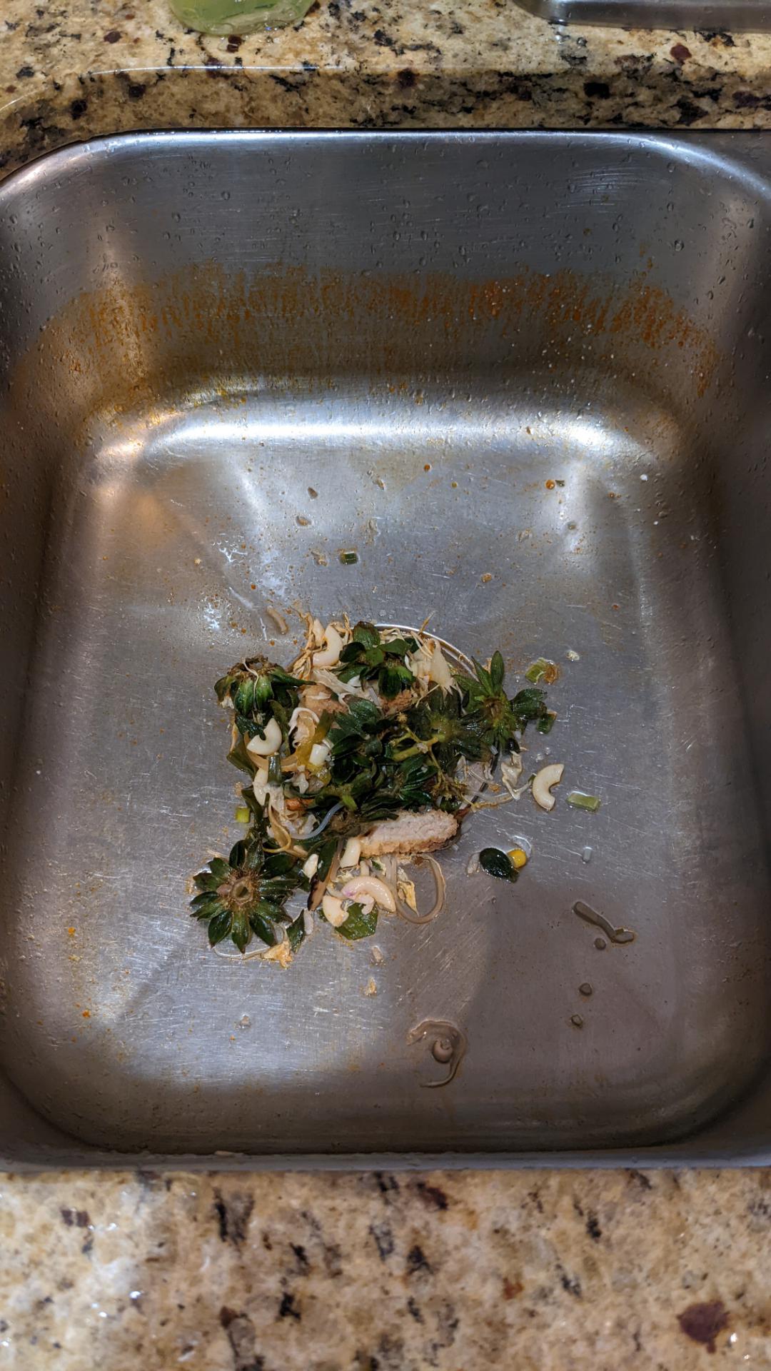 My wife just throws her kitchen scraps in the sink instead of the trashcan because "the disposal can handle it." The sink disposal is not a trashcan, right??