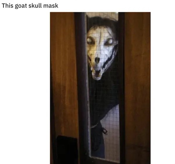 Cursed Images - weird scary - This goat skull mask