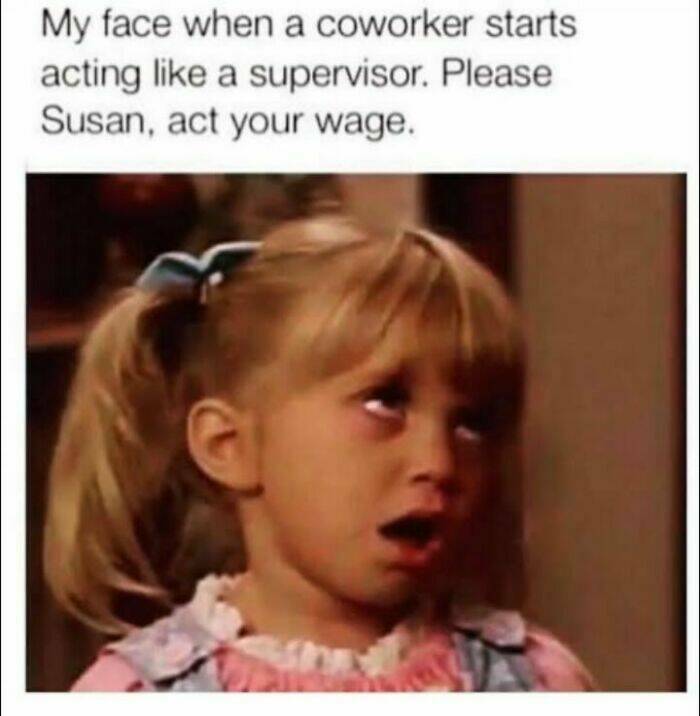 work memes - my face when a coworker starts acting like a supervisor - My face when a coworker starts acting a supervisor. Please Susan, act your wage.
