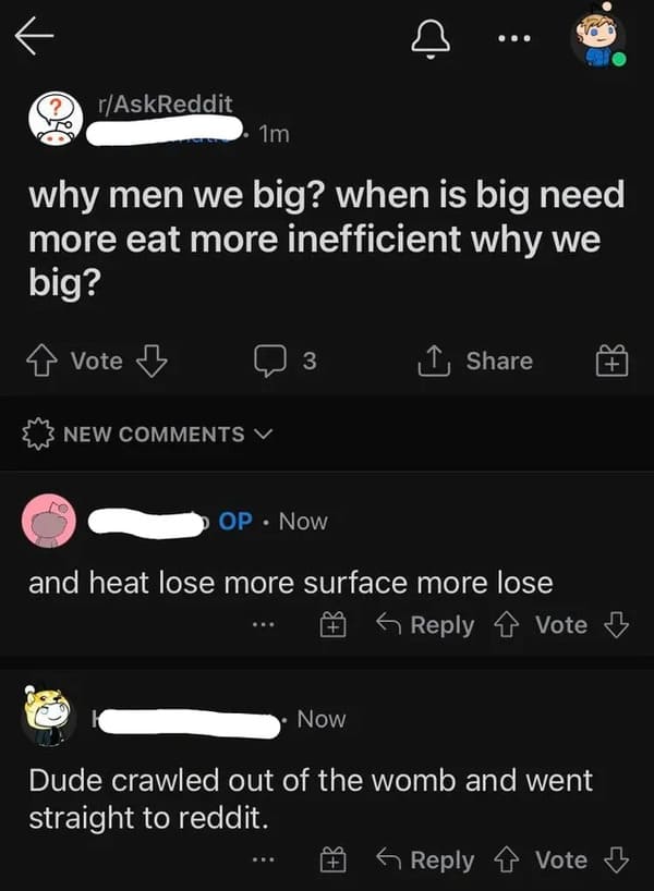 Funny Comments - screenshot - K rAskReddit 1m why men we big? when is big need more eat more inefficient why we big? Vote 3 New V Op Now and heat lose more surface more lose G Vote Now Dude crawled out of the womb and went straight to reddit. Vote