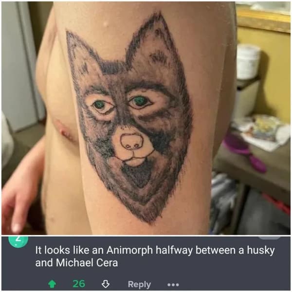 Funny Comments - head - It looks an Animorph halfway between a husky and Michael Cera 26