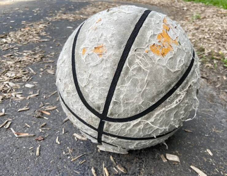 "The one and only basketball that lives at the local park and somehow still bounces."