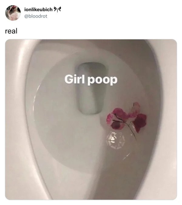 funny tweets - ionubichi real Girl poop
