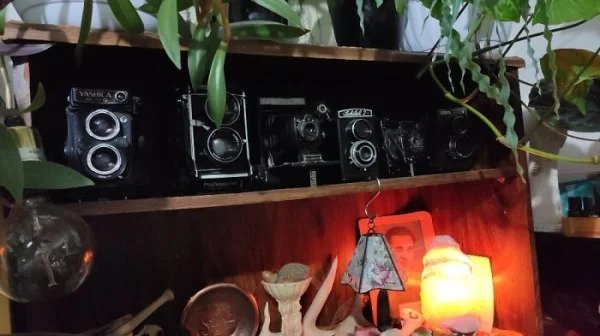 Tlr Cameras! They’re All Functional, And My Oldest Is From WWI