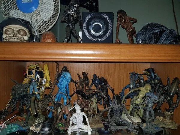 “Xenomorphs, The Runner And Warrior On The Top Were The First Ones I Got And Were Also The Very Last Gifts I Ever Received From My Late Wife”