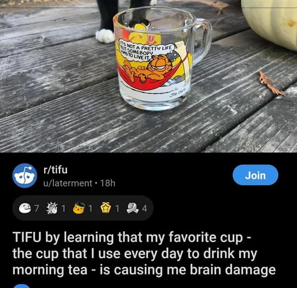 dumb people - garfield cup brain damage - U Pre Not A Pretty Life Sat Somebody 46 To Live It rtifu ulaterment 18h Join 7 N 1 1 1 4 Tifu by learning that my favorite cup the cup that I use every day to drink my morning tea is causing me brain damage