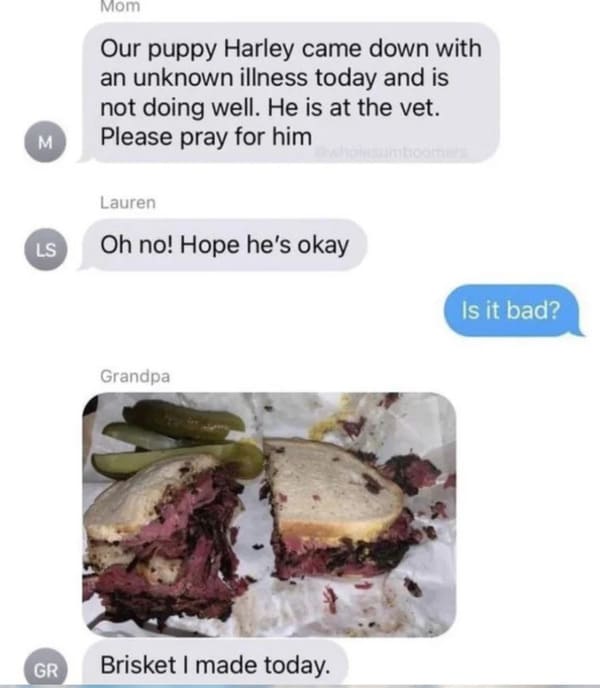 dumb people - funny text messages - Mom Our puppy Harley came down with an unknown illness today and is not doing well. He is at the vet. Please pray for him M Lauren Ls Oh no! Hope he's okay Is it bad? ? Grandpa Gr Brisket I made today.