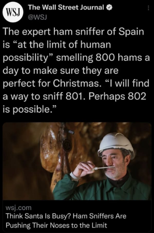 dumb people - expert ham sniffer of spain - Wsj The Wall Street Journal The expert ham sniffer of Spain is "at the limit of human possibility smelling 800 hams a day to make sure they are perfect for Christmas. "I will find a way to sniff 801. Perhaps 802