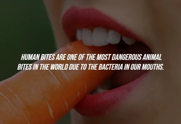 15 Random Facts To Fill Your Head With.