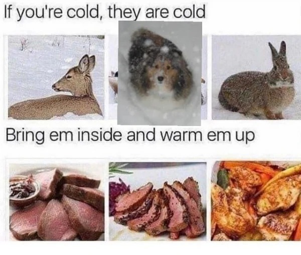 hold up - hol up - if you re cold they re cold bring them inside - If you're cold, they are cold Bring em inside and warm em up