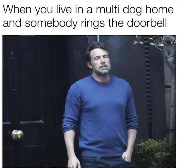 relatable memes - if she was a lamp - When you live in a multi dog home and somebody rings the doorbell