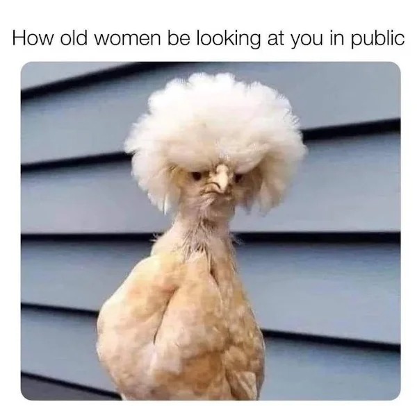 relatable memes - chicken karen - How old women be looking at you in public