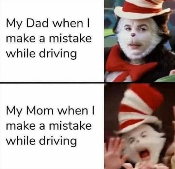relatable memes - mom vs dad driving meme - My Dad when I make a mistake while driving My Mom when I make a mistake while driving