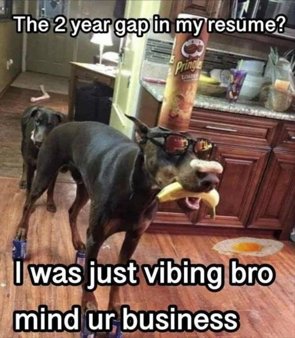 relatable memes - dog - The 2 year gap in my resume? Pringle Loud I was just vibing bro mind ur business