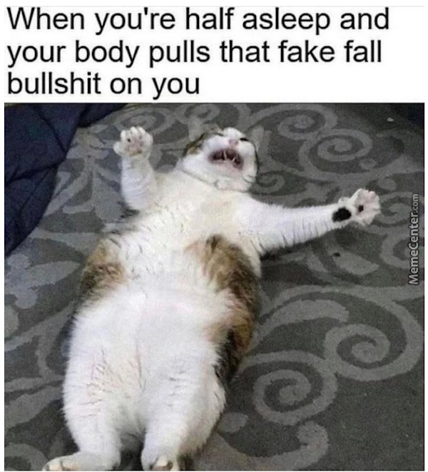 relatable memes - When you're half asleep and your body pulls that fake fall bullshit on you MemeCenter.com