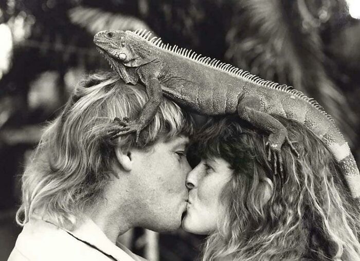 Vintage Celebrity Photos -  steve and terri irwin iguana