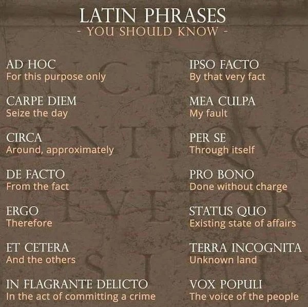 cool guides - infographics - material - Latin Phrases You Should Know Ad Hoc For this purpose only Ipso Facto By that very fact Carpe Diem Seize the day Mea Culpa My fault Circa Around, approximately Per Se Through itself De Facto From the fact Pro Bono D