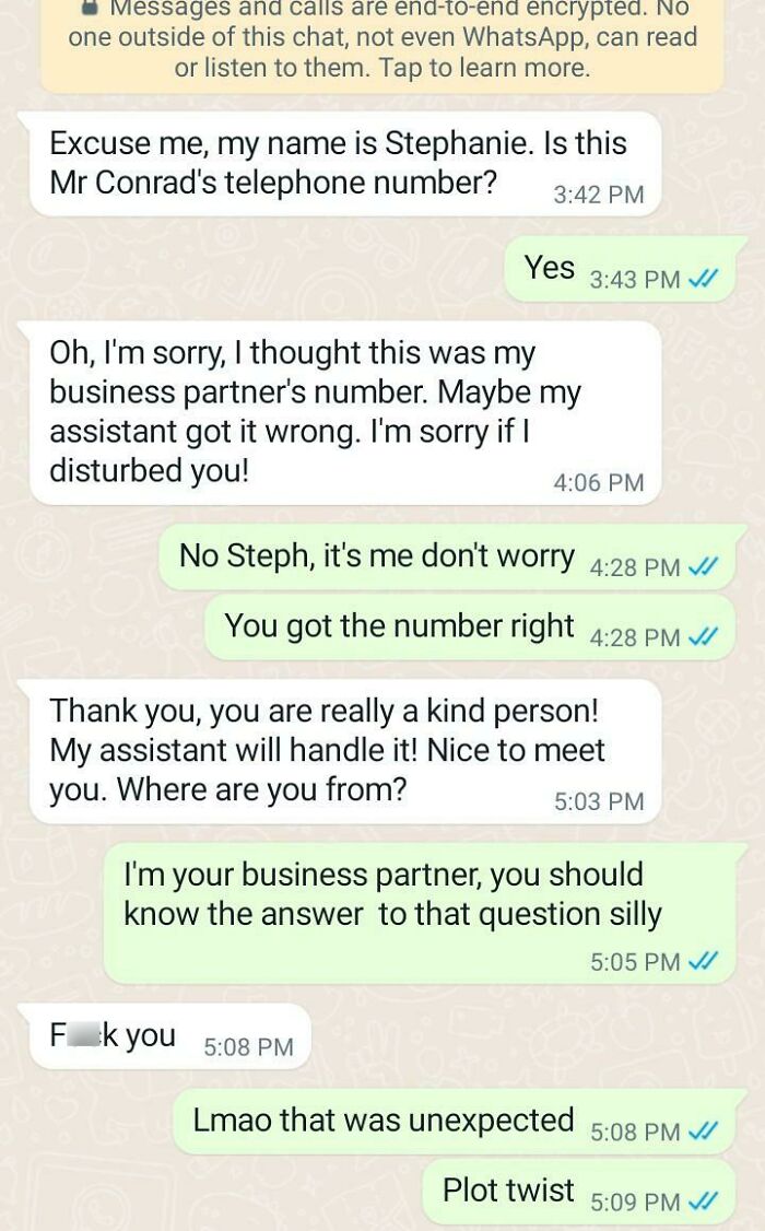 Trolling Scammers - No one outside of this chat, not even WhatsApp, can read or listen to them.