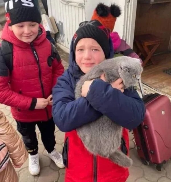 “Young Ukrainian refugee boy reunited with his kitty that he had lost while waiting to cross the Polish-Ukrainian border.”