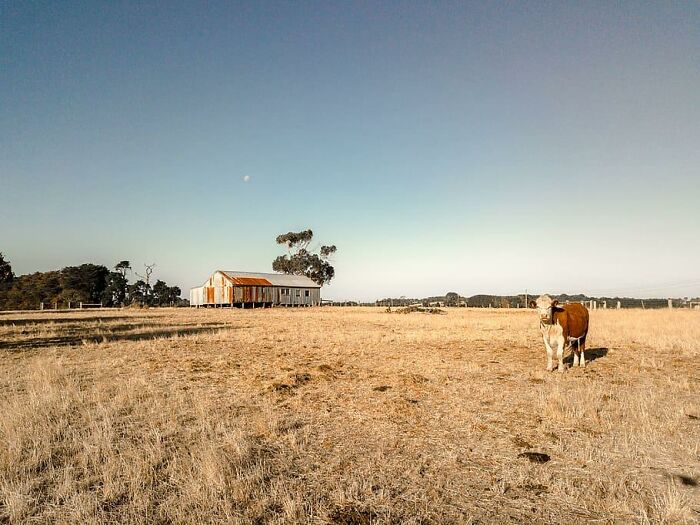 Have farms larger than Connecticut (14,357km2)Australia has 4 of them. The largest is larger than Israel, 44 of them are larger than Delaware, and this is still more than three times the size of the largest Ranch in the US, the Waggoner Ranch in Texas.