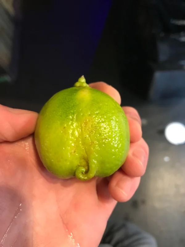 “This lime has a tail.”