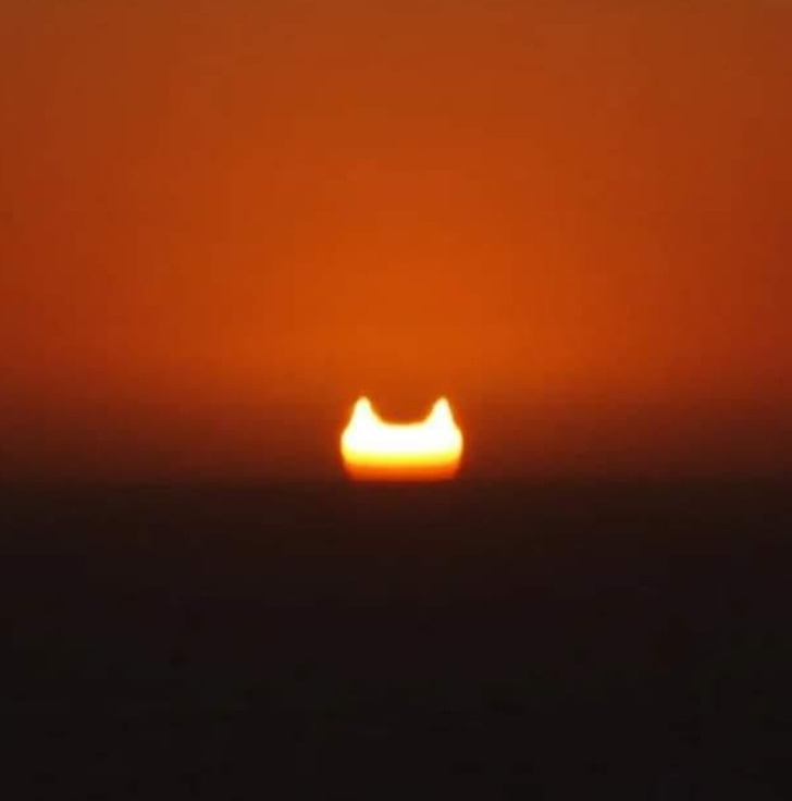 “Today’s solar eclipse we saw at sunset resembled a giant cat’s head.”