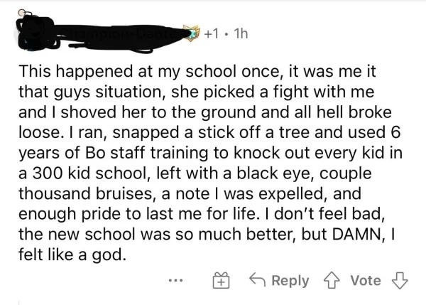 Internet Tough Guys - This happened at my school once, it was me it that guys situation, she picked a fight with me and I shoved her to the ground and all hell broke loose. I ran, snapped a stick off a tree and used 6 years of Bo staff training to knock o