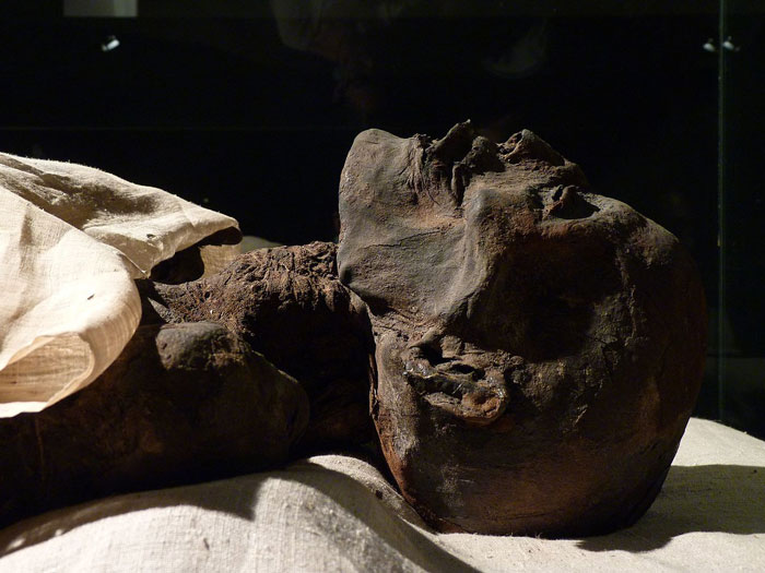 freaky facts - Egyptian mummies wouldn’t be so rare today if the Victorian British hadn’t eaten most of them.