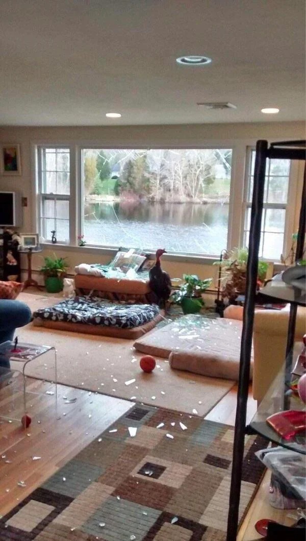 home disasters - living room