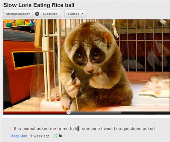 Youtube Comments - Slow Loris Eating Rice ball