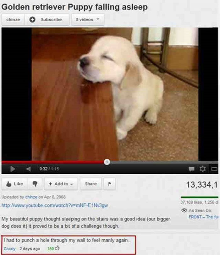 Youtube Comments - Golden retriever Puppy falling asleep