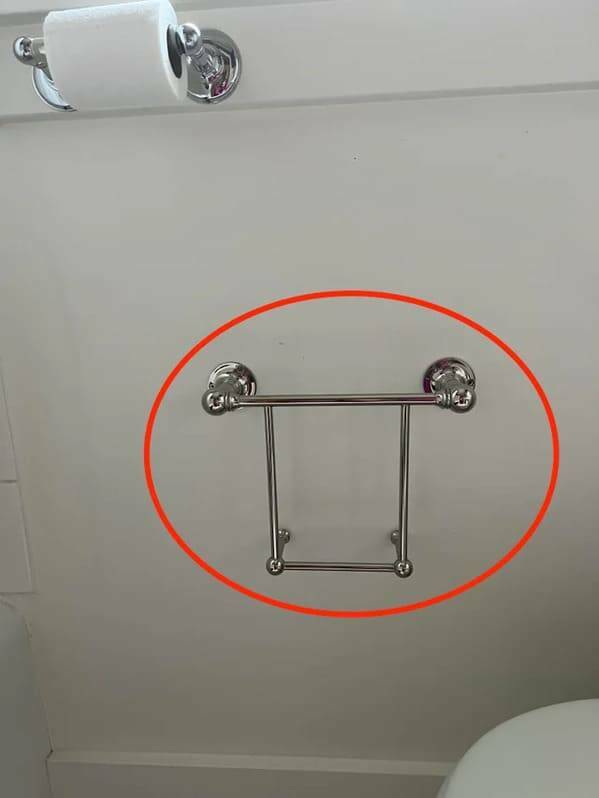 "What is this chrome thing near the toilet and the toilet paper holder?"
<br/><br/>
"Looks like a holder for magazines. “Literature” is an important bathroom supplies category – or at least used to be before smartphones, I guess."