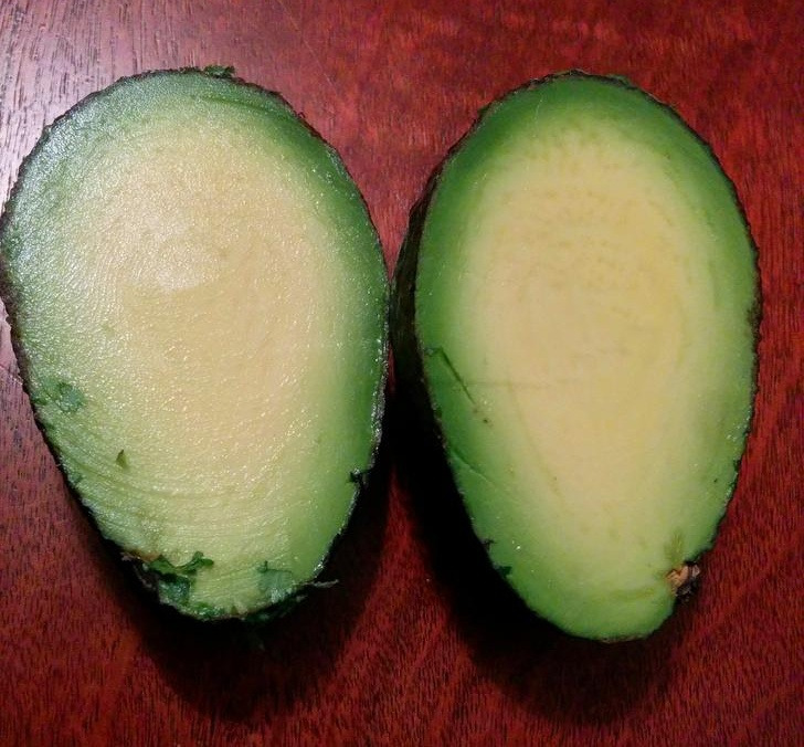 Cool Things People Found - avocados without seeds