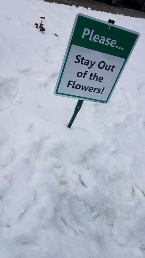 22 Useless Signs That Are Hilarious.