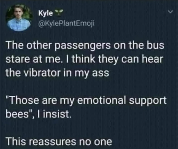 Oddly Specific - atmosphere - Kyle The other passengers on the bus stare at me. I think they can hear the vibrator in my ass