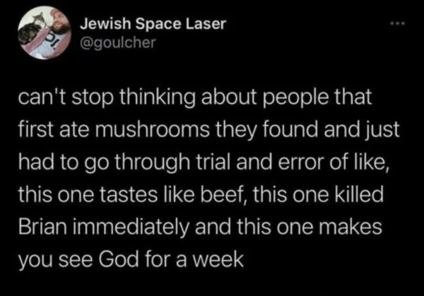Oddly Specific - can't stop thinking about people that first ate mushrooms they found and just had to go through trial and error of , this one tastes beef, this one killed Brian immediately and this one makes you see God for a week Pi